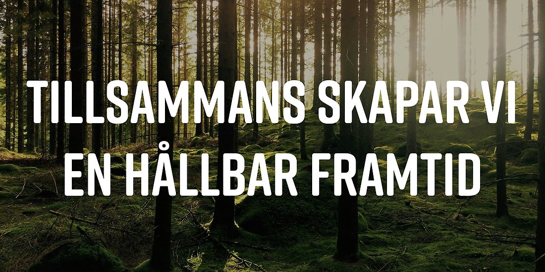 En skogsdunge i motljus. På bilden står SÅM:s vision; Tillsammans skapar vi en hållbar framtid.